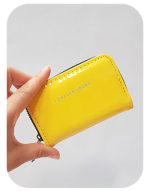 کیف کارت پیکو کد 3151